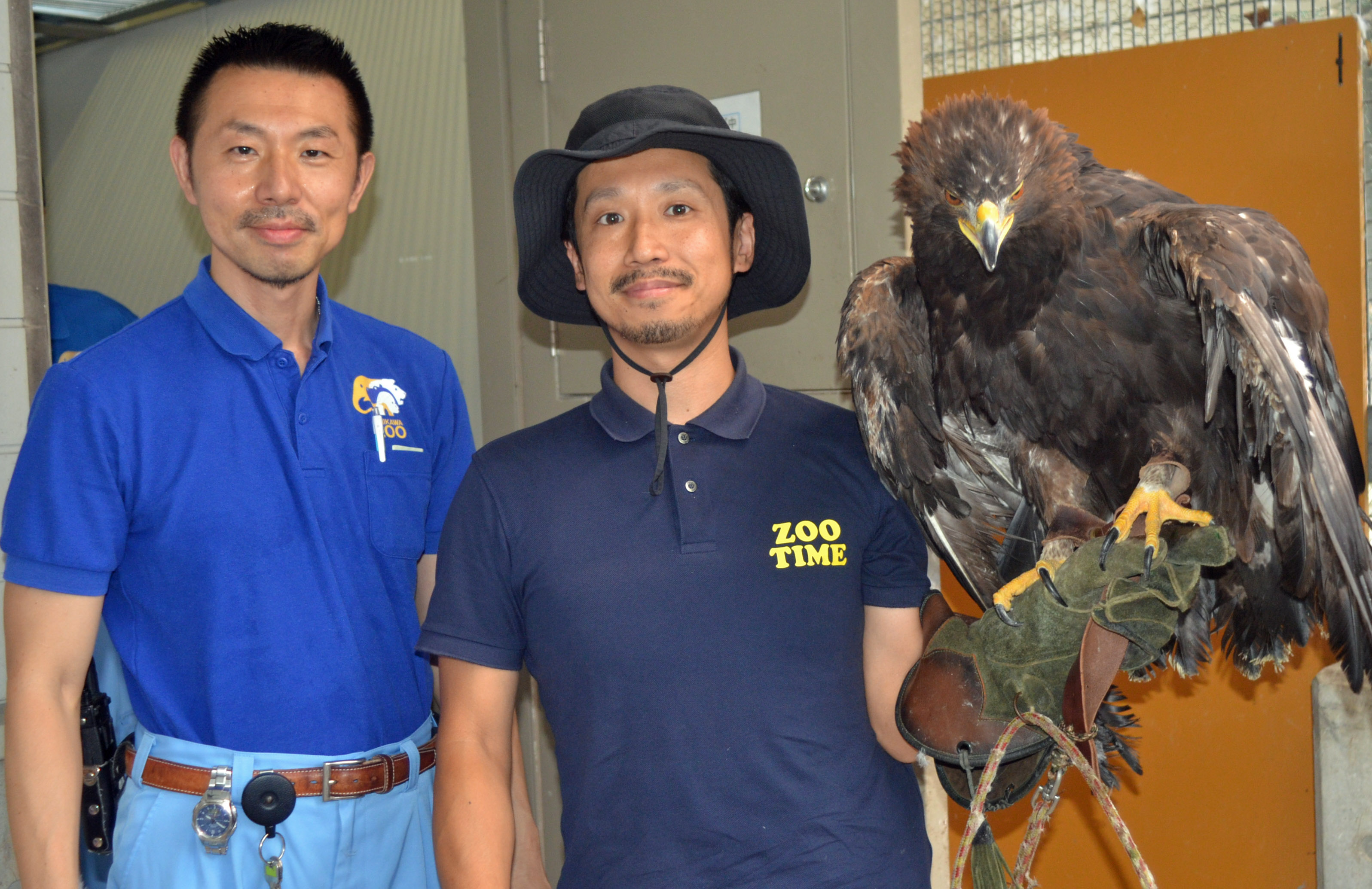 イヌワシのメンテナンスへ | ZOOTIME