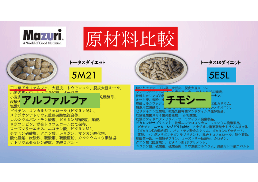 人気商品は mazuri トータスダイエット5M21 200g リクガメフード