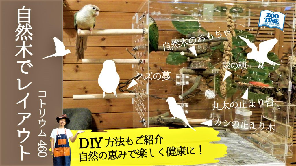 インコの幸せ空間造り～自然木DIY＆レイアウト～ GEXコトリウム460