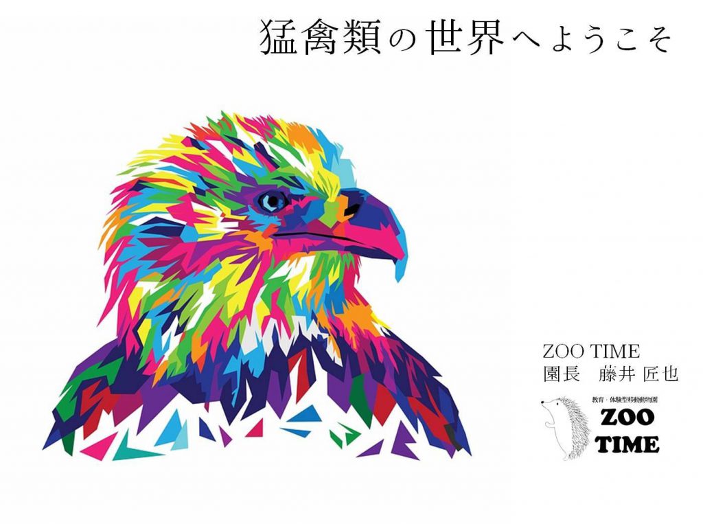 猛禽類学 猛禽類学 | 山崎 亨 |本 | 通販 | Amazon