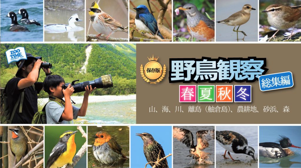 原色飼鳥大鑑  ２ ３版/ペットライフ社/川尻和夫（大型本） 原色飼鳥大鑑 (3) | 川尻 和夫, 立松 光好 |本 | 通販 | Amazon